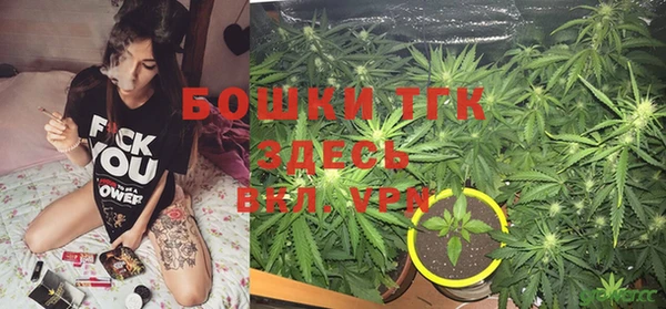 сатива Алексеевка