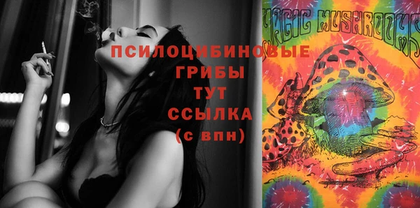 PSILOCYBIN Алексин