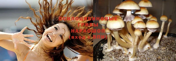 PSILOCYBIN Алексин