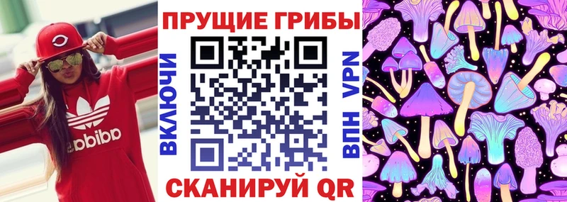 Псилоцибиновые грибы мицелий Нефтекумск